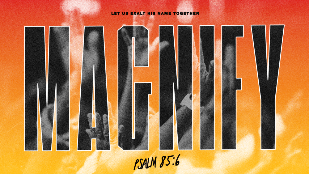 Magnify Revival